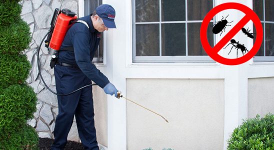 Limontepe Gümüşkurt İlaçlama böcek ilaçlama ve haşere kontrolü — ilaclama-tr.com